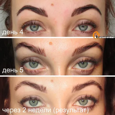 Татуаж бровей: Фото до и после процедуры