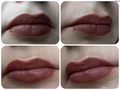 Татуаж губ: фото контурного растушеванного макияжа