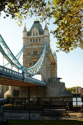 Тауэрский Мост В Лондоне, Великобритания Фотография, картинки, изображения  и сток-фотография без роялти. Image 67010529