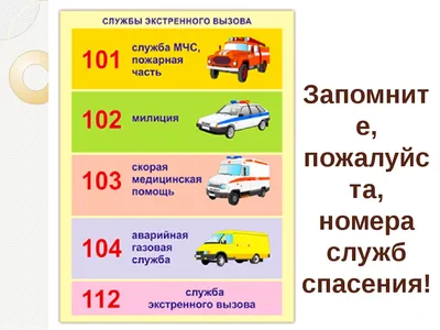 Лыжная подготовка в начальной школе. Техника безопасности и правила  поведения. - YouTube