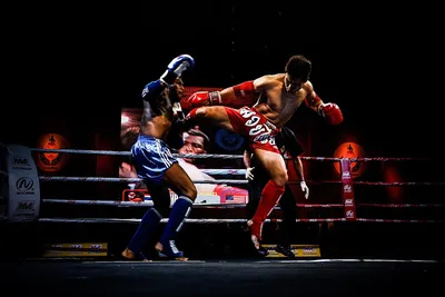 У него кирпичи вместо кулаков!» Как самый грязный бой в истории бокса довел  бойцов до тюрьмы и самоубийства: Бокс и ММА: Спорт: Lenta.ru