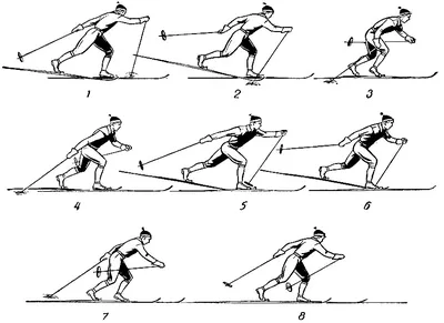 Техника лыжных ходов в картинках фотографии
