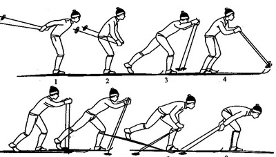 Лыжные ходы. Урок лыжной подготовки. Способы ходьбы на лыжах