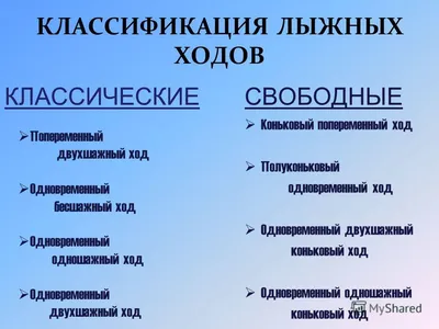 Блог учителя физической культуры Веры Викторовны Ходыревой