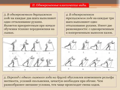 Лыжные ходы. Основы техники передвижения на лыжах 2 класс