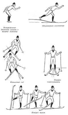 Иллюстрации к \"Бородатая история\"