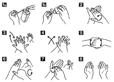 Как правильно мыть руки?