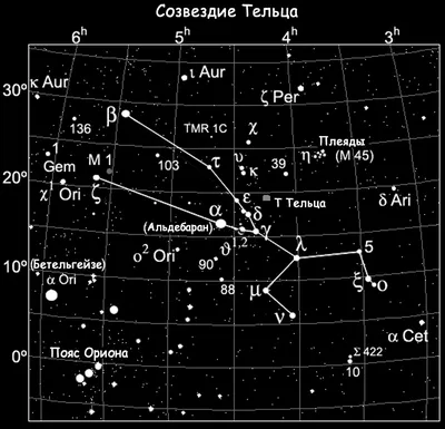 Картинки телец на телефон - 58 фото