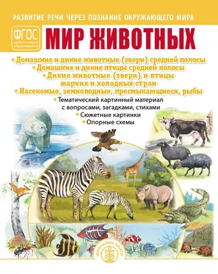 Англо-русский словарь для детей в картинках - Автор не указан | Купить с  доставкой в книжном интернет-магазине fkniga.ru | ISBN: 978-5-17-158213-5