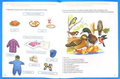 Фрукты. Овощи. Тематический словарь в картинках для занятий с детьми 3-5  лет | ⚡ Бесплатная доставка завтра | AliExpress