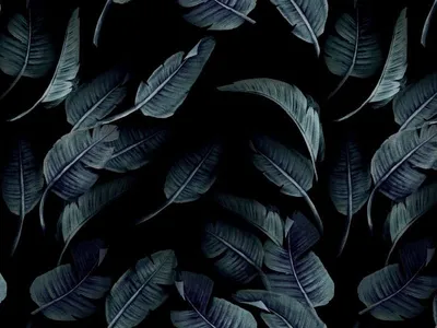 Фотообои Тёмные листья на стену. Купить фотообои Тёмные листья в  интернет-магазине WallArt