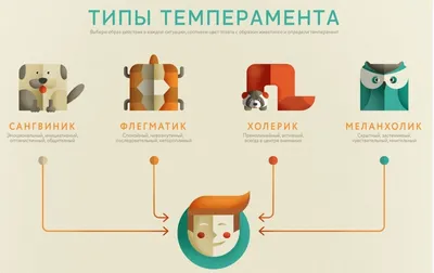 Типы темперамента: что такое, описание, как определить | РБК Life