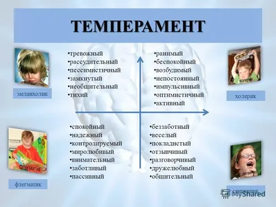 Темперамент, типы темперамента реферат по психологии | Сочинения Психология  | Docsity