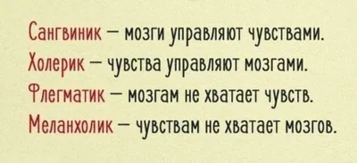 Особенности темперамента: что нужно знать