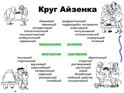 Флегматик: сильные и слабые стороны темперамента. Разбирает психотерапевт |  Клиника доктора Шурова | Дзен