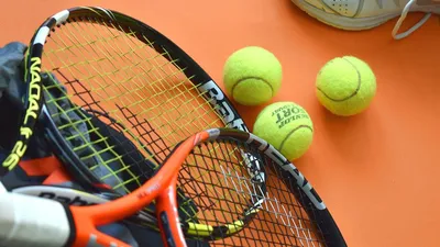Особенности игры в настольный теннис: плюсы и минусы | Интернет-магазин  Ekip-Sport.Ru