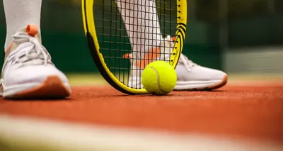Спортивные сборые настольный теннис