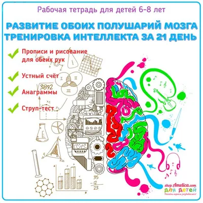 Развивающая тетрадь для детей 2-3 лет \"Ознакомление с природой\".  Многоразовая. ИД Юлия Фишер | AliExpress