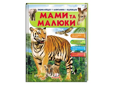 В День защиты детей Центр «Амурский тигр» опубликовал фото спасённого  тигрёнка » Новости на Vostok.Today – никакой пропаганды, только новости!