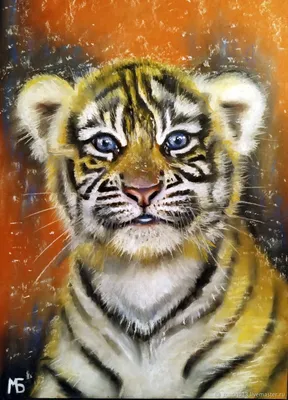 Трехмесячный тигренок Ростовского зоопарка получил свое долгожданное имя на  букву \"Я\"