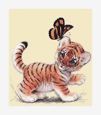 Тигренок — стоковые фотографии и другие картинки Бенгальский тигр -  Бенгальский тигр, Тигрёнок, Большая кошка - iStock