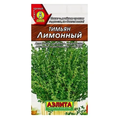 Семена зелени Тимьян (Чебрец) купить в Украине | Веснодар
