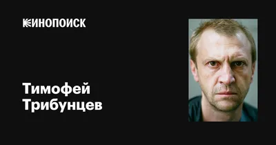 ТРИБУНЦЕВ Тимофей Владимирович - биография, новости, фото, дата рождения,  пресс-досье. Персоналии ГлобалМСК.ру.