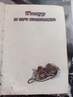 Тимур и его команда (с иллюстрациями) - Гайдар А.П., Купить c быстрой  доставкой или самовывозом, ISBN 978-5-04-110933-2 - КомБук (Combook.RU)