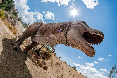 T-Rex Тираннозавр Gondava - Бесплатное фото на Pixabay - Pixabay