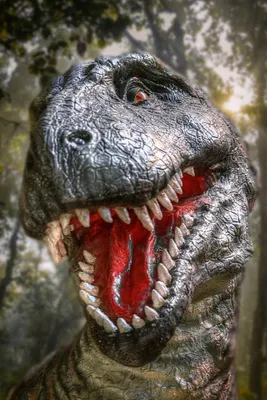 Тираннозавр Рекс Динозавр Из Меловой Эпохи 3d Иллюстрация — стоковые  фотографии и другие картинки Тираннозавр-рекс - iStock
