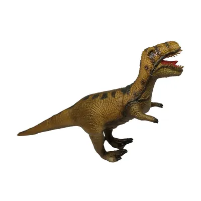 тираннозавр окаменелый череп нарисованное изображение. плотоядный рептилий  динозавр рисунок иллюстрация. векторная масса Иллюстрация вектора -  иллюстрации насчитывающей ведущего, вымирание: 221561833