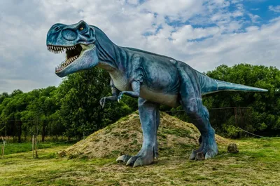 Фигурка Мир юрского периода Динозавр Тираннозавр Рекс Jurassic World  Tyrannosaurus Rex GYW84 (ID#1775329618), цена: 1430 ₴, купить на Prom.ua