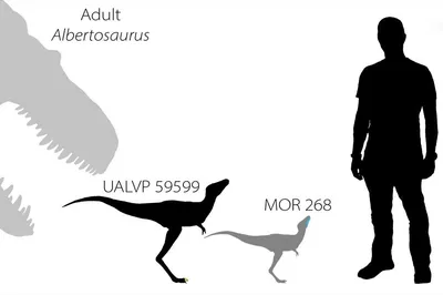 Фигурка динозавра Jurassic World Тираннозавр Рекс GWN26 (ID#168023364),  цена: 200 руб., купить на Deal.by