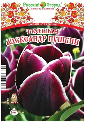 Характеристики модели Тюльпан Александр Пушкин 5 луковиц 12/+ — Луковичные  растения — Яндекс Маркет