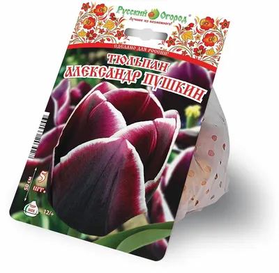 Купить Тюльпан Александр Пушкин 1 уп. (3шт.) фракция 11/12 189рубл - онлайн  магазин - заказ и доставка в Москве, Санкт-Петербурге, России и СНГ