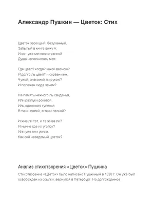 Тюльпаны Александр Пушкин» картина Храпковой Светланы (бумага, карандаш) —  купить на ArtNow.ru