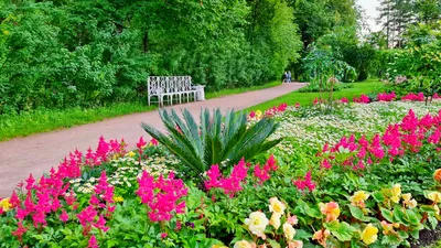 Иркутский ботанический сад - Сегодня \"Солнцу русской поэзии\" исполнилось  220 лет. Поговорим о том, что близко нам. Александр Сергеевич Пушкин часто  использовал в своём творчестве образы растений, в том числе цветов. Они