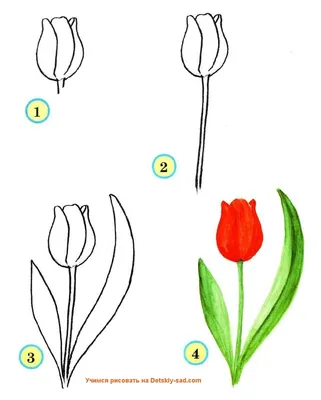 Как нарисовать пейзаж с красными тюльпанами. Рисование для детей 5-8 лет. -  YouTube