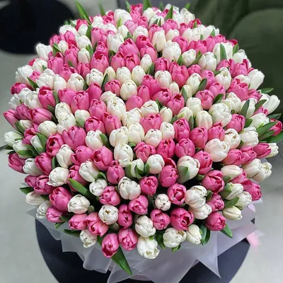201 красный тюльпан в букете за 36 990 руб. | Бесплатная доставка цветов по  Москве