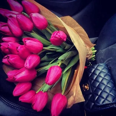 Изображение тюльпанов в руках: свежесть и красота