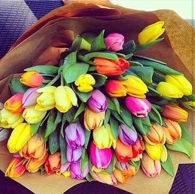 Красивые тюльпаны в руках: качественное изображение