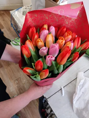 Изображение тюльпанов в руках: красота и свежесть в одном фото