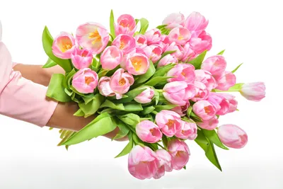 Романтические тюльпаны в руках: прекрасный выбор для свадебных фото