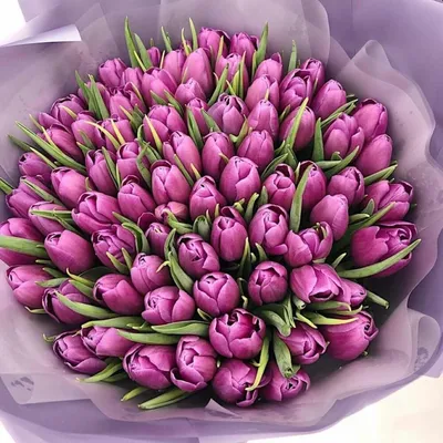 Тюльпаны в руках: прекрасное сочетание цветов