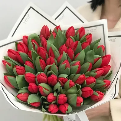 Красивые тюльпаны в руках: лучший выбор для календарей