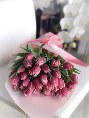 Изображение тюльпанов в руках: прекрасный выбор для домашнего декора