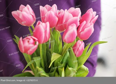 Фотография тюльпанов в руках: красивый букет на фоне неба