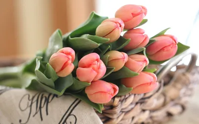 Красивые тюльпаны в руках: прекрасный выбор для фотокниг