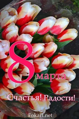 Купить Букет тюльпанов \"8 Марта\" в Москве недорого с доставкой