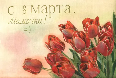 Цветочный дизайн Flower Tulip, Sunspots каменный материал тюльпан, акварель,  пурпурный, аранжировка цветов png | PNGWing